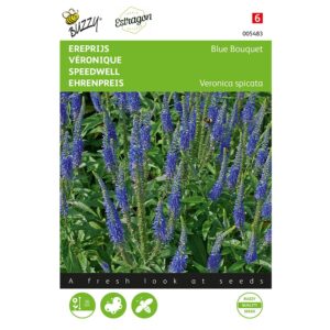 8711117054832-005483-Graines-Veronique-Blue-Bouquet-25-graines-Buzzy