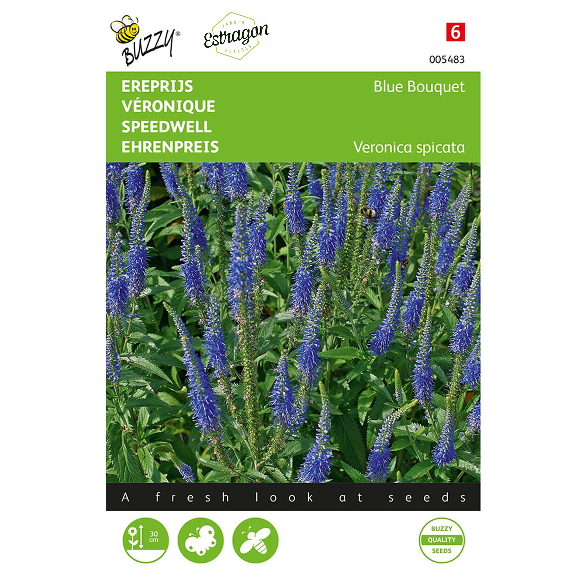 8711117054832-005483-Graines-Veronique-Blue-Bouquet-25-graines-Buzzy