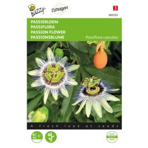 8711117055556-005555-Graines-Passiflore-033-gr-Buzzy
