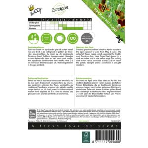 8711117055600-005560_1-Graines-Echinacee-Des-Prairies-10-graines-Buzzy