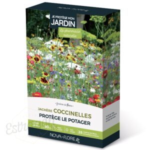 Graines - Jachère Fleurie - Coccinelles 300 à 600 m² - Nova-Flore