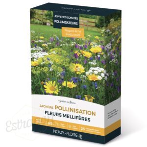 Graines - Jachère Fleurie - Pollinisation 50 à 100 m² - Nova-Flore