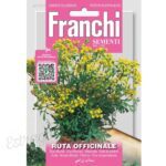 Graines - Rue Officinale - Ruta Officinale - 0,75 gr - Franchi