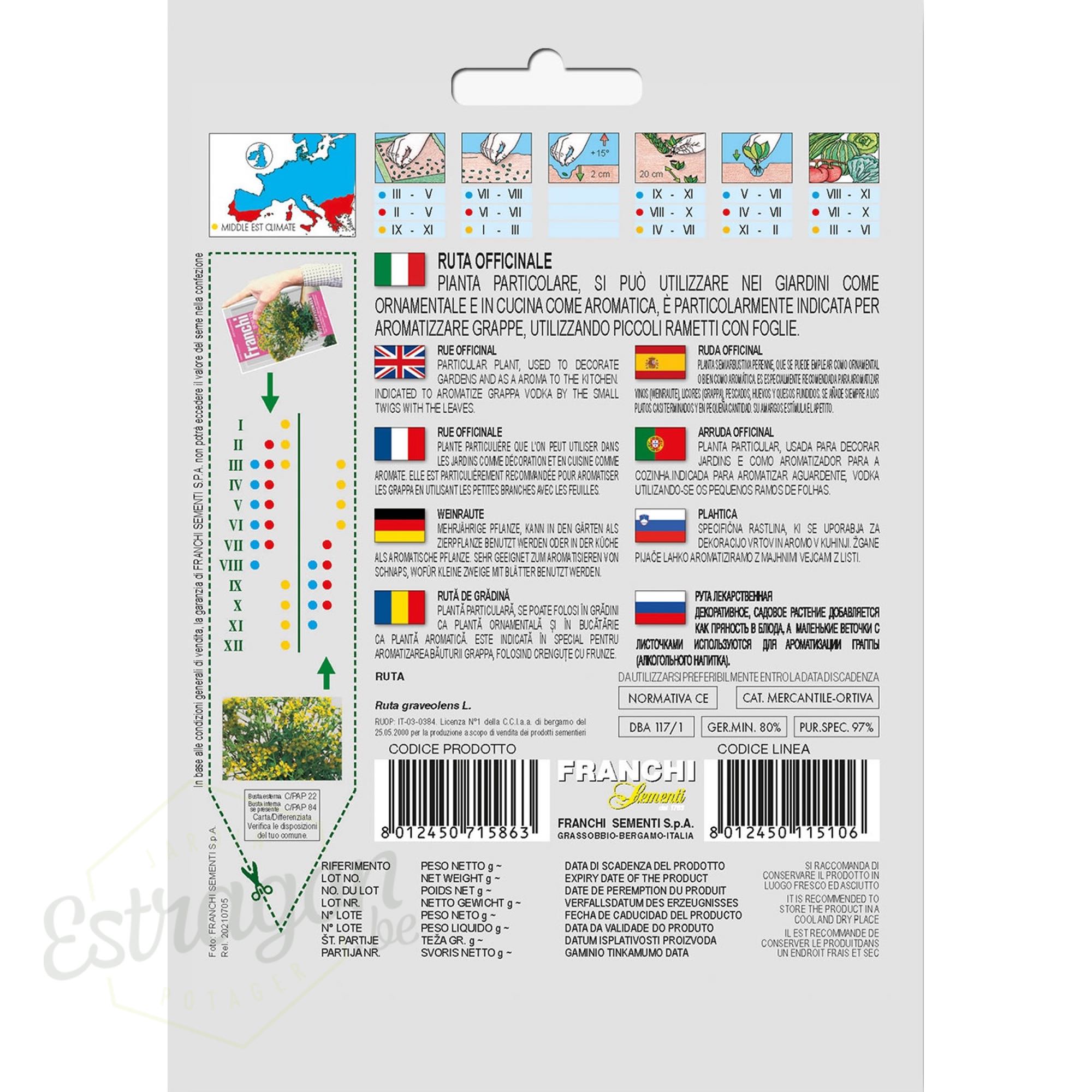 Graines - Rue Officinale - Ruta Officinale - 0,75 gr - Franchi verso