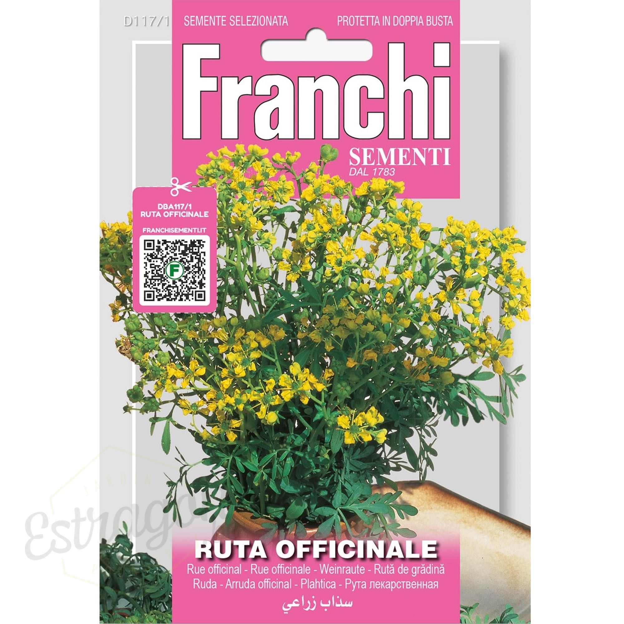 Graines - Rue Officinale - Ruta Officinale - 0,75 gr - Franchi