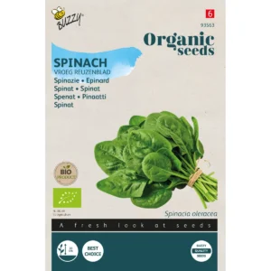 graines Épinard grandes feuilles précoces bio 15 gr buzzy organic