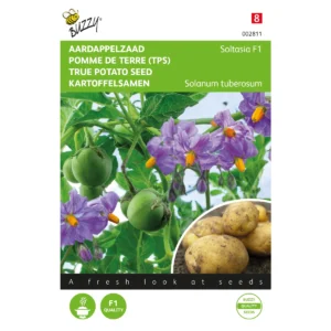 graines pomme de terre (tps) soltasia f1 solhy023 10 graines buzzy