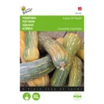 graines chicorée de bruxelles zoom hybride f1 2 gr buzzy (copie)