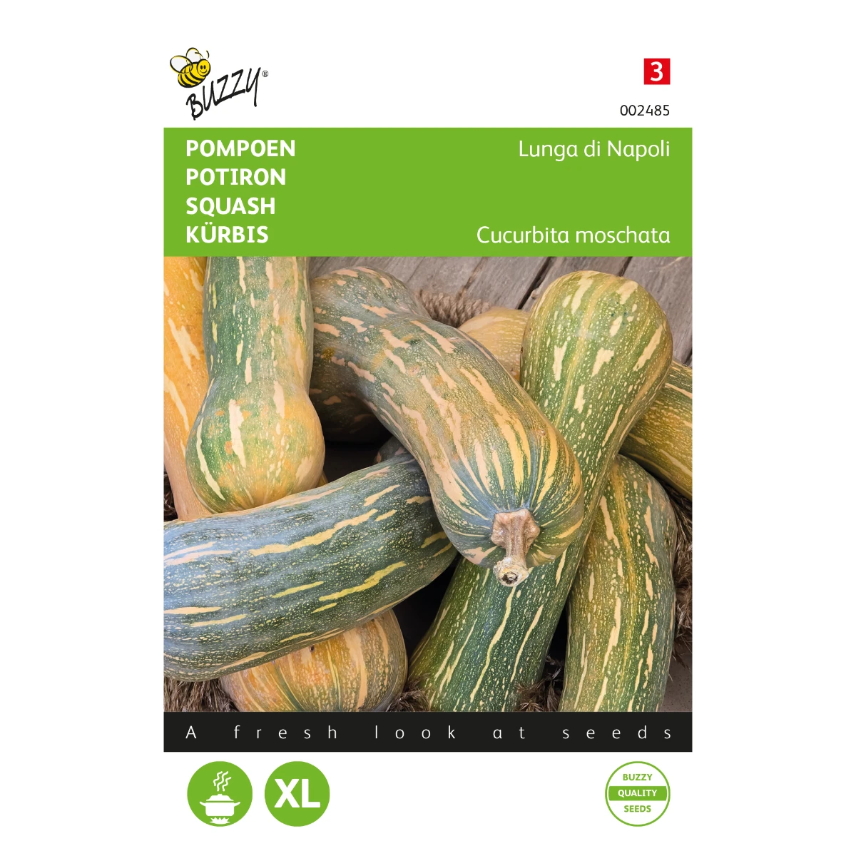 graines chicorée de bruxelles zoom hybride f1 2 gr buzzy (copie)