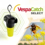 piège sélectif contre les frelons asiatiques vespacatch select véto pharma