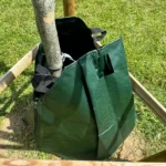 Sac d’arrosage vert autour d’un jeune arbre