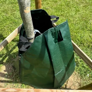 Sac d’arrosage vert autour d’un jeune arbre