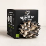 Kit bio de culture de pleurotes avec champignons