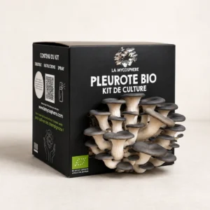 Kit bio de culture de pleurotes avec champignons