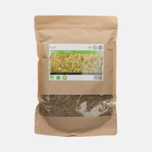 Sachet de graines de seigle Admiral pour micro-pousses